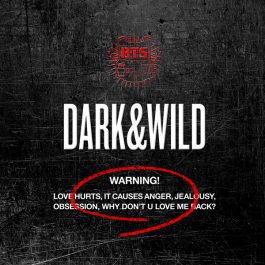 BTS – DARK&WILD