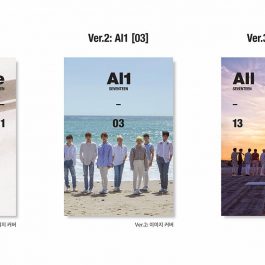 Seventeen – Al1