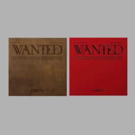 CNBLUE – WANTED