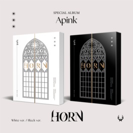 APINK – HORN