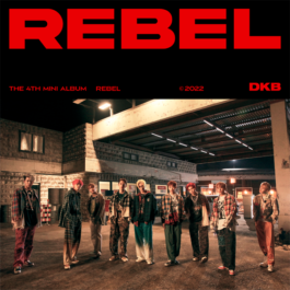 DKB – REBEL