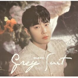 Plakat EXO: Suho – Grey Suit