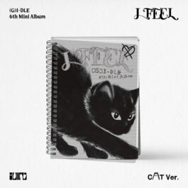 (G)I-DLE – I feel