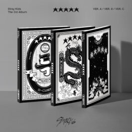 Stray Kids – ★★★★★ (5-STAR)