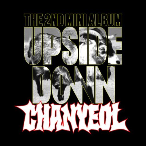 [PREORDER] EXO: CHANYEOL - Upside Down (PHOTO BOOK Ver.)